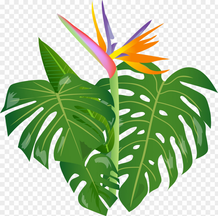 Jungle Niihau Hula Lomilomi Massage Lei Aloha PNG