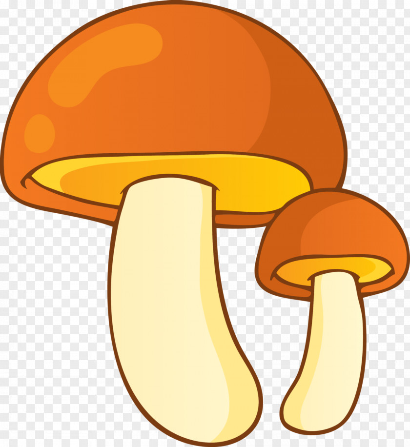 Mushroom Stock Photography Illustration Hunting Fungus PNG