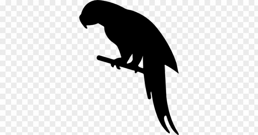 Parrot Bird Silhouette Animal PNG