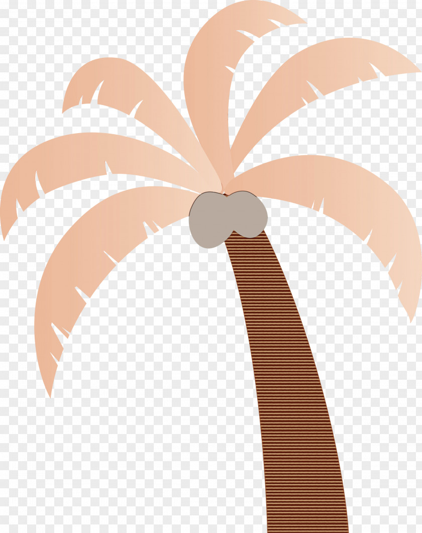 Palm Trees PNG