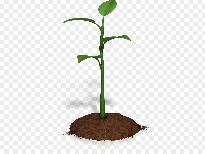 Plant Animation Microsoft PowerPoint Clip Art PNG
