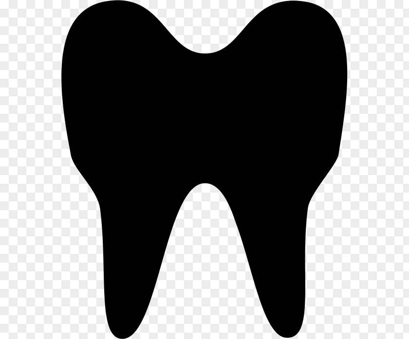 Dentistry Human Tooth Clip Art PNG