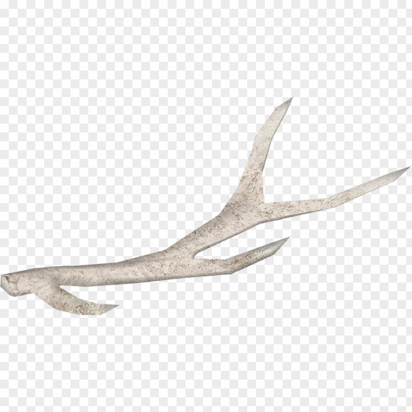 Film Web Browser Antler PNG