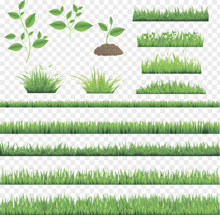 Fresh Green Lawn PNG