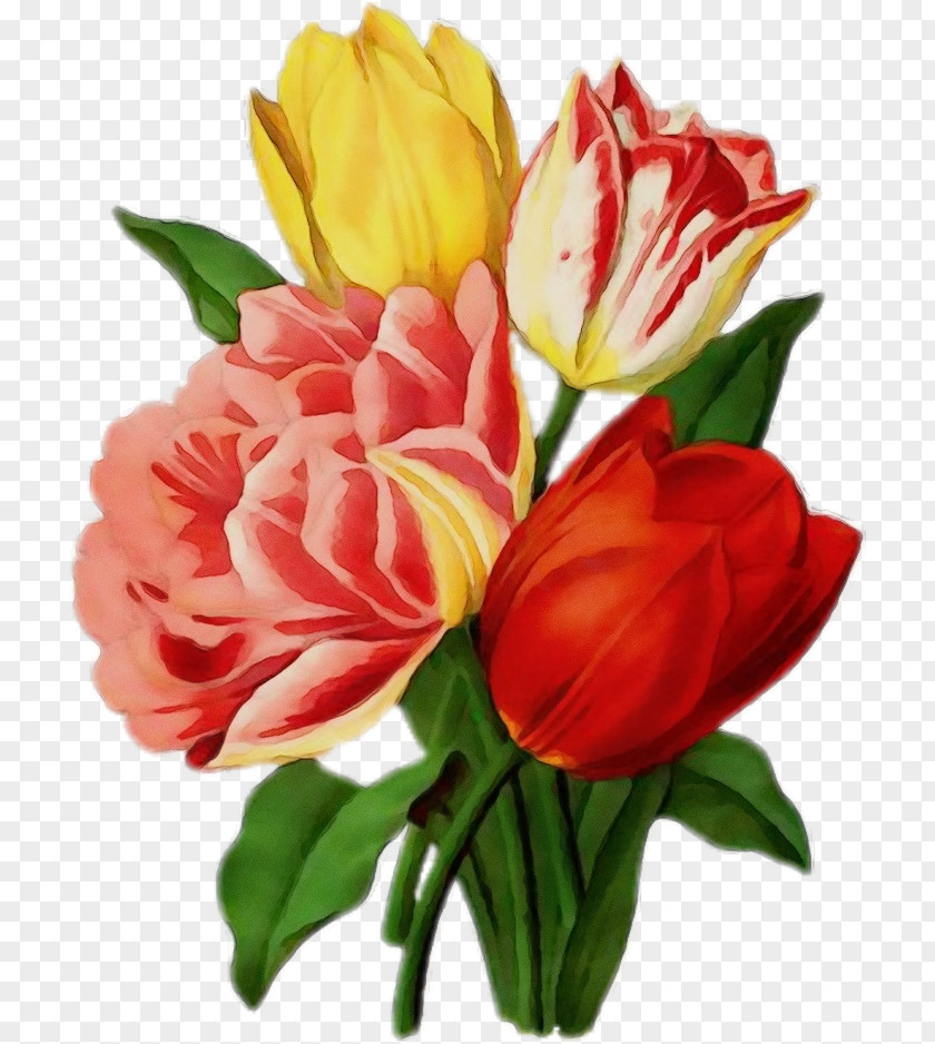 Garden Roses PNG