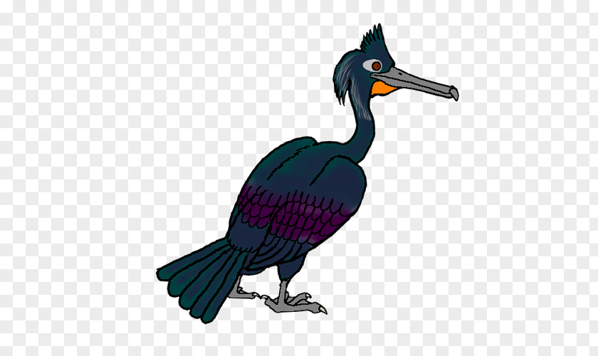 Goose Cygnini Beak Duck Bird PNG