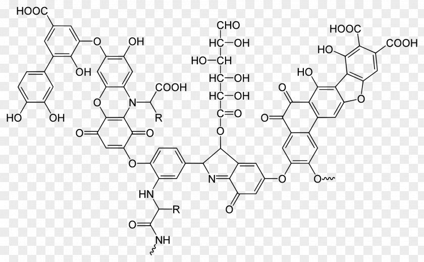 Humic Acid Fulvic Soil Structure PNG