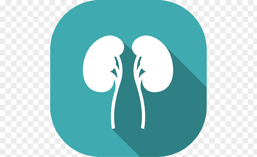 Kidney Failure Disease Clip Art PNG