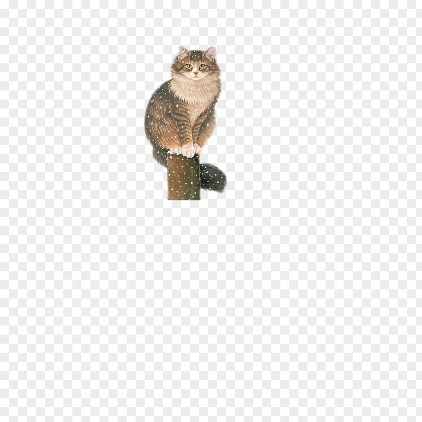 Snow Standing On The Pillar Of Black Cat Clip Art PNG