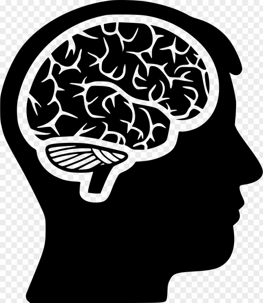 Brains Brain Human Head PNG