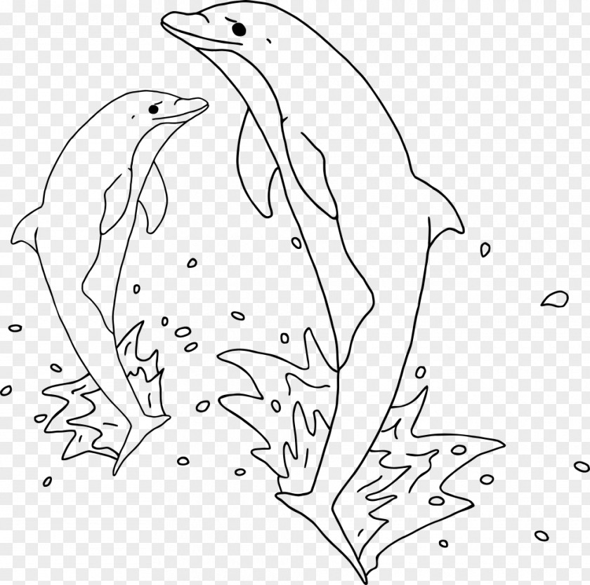 Dolphin Jumping Drawing Marine Mammal Clip Art PNG
