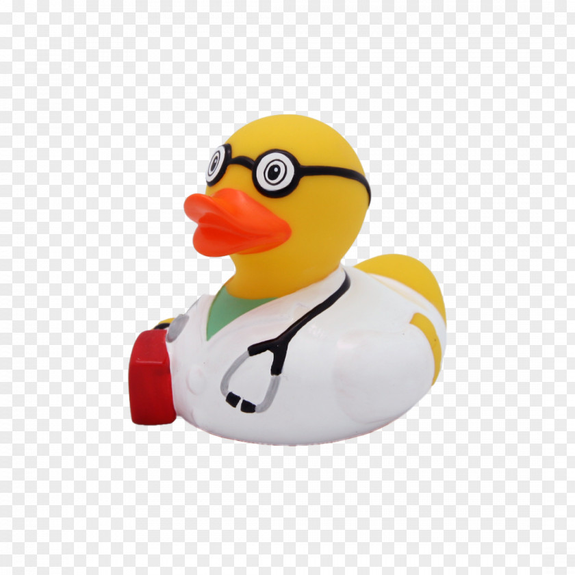 Duck Rubber Debugging Natural PNG