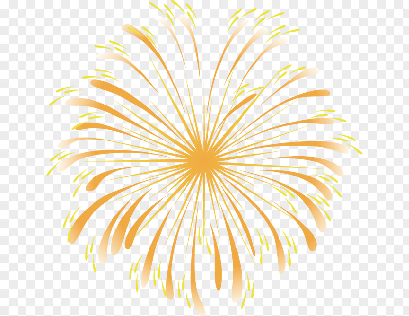 Fireworks Sunburst Adobe Flash Player Clip Art PNG