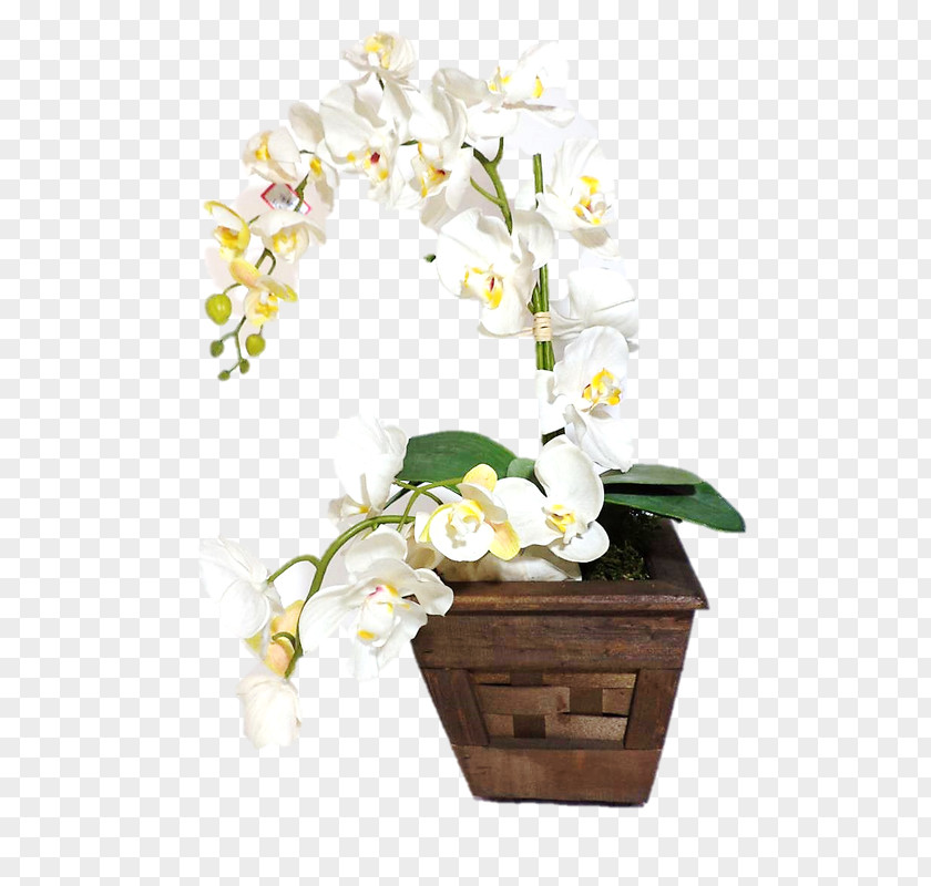 Madeira Vase Flowerpot Orchids Cut Flowers PNG