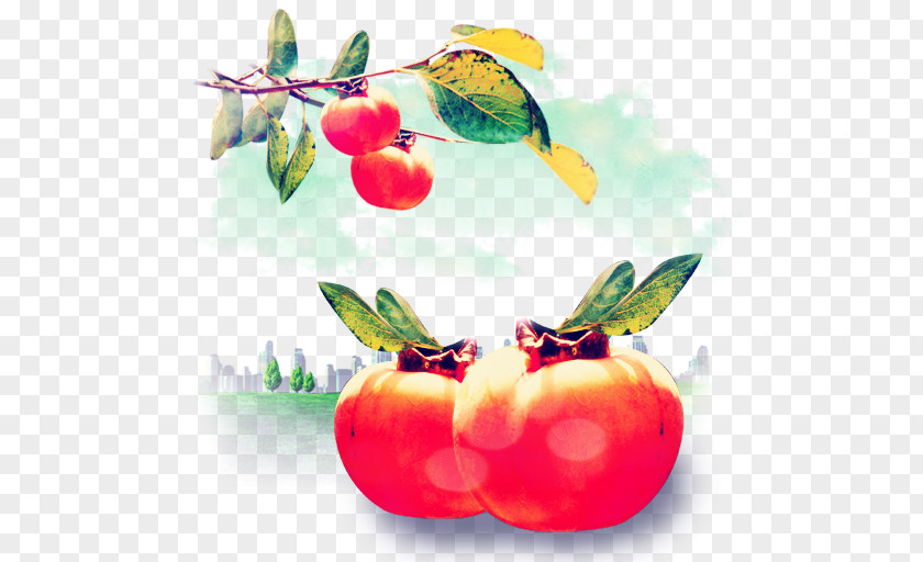 Persimmon Image ICO Fruit Icon PNG