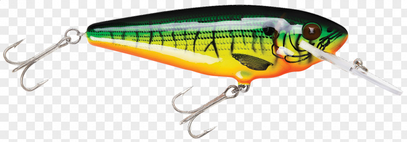 Tiger Spoon Lure Perch Monster Energy Line PNG