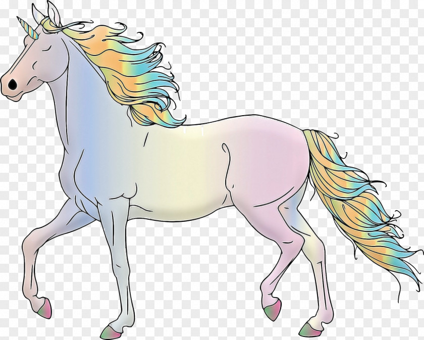 Unicorn PNG