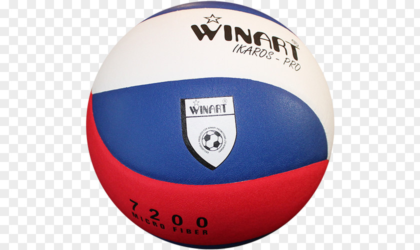 Volleyball Team Sport Medicine Balls Product PNG