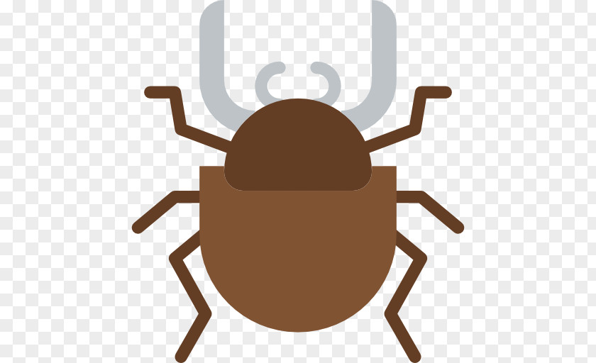 Beetle PNG