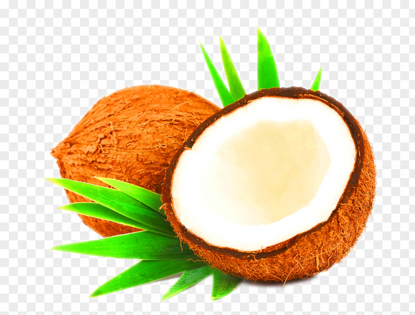 Brown Simple Coconut Decoration Pattern Milk Water Oil Hair Care PNG