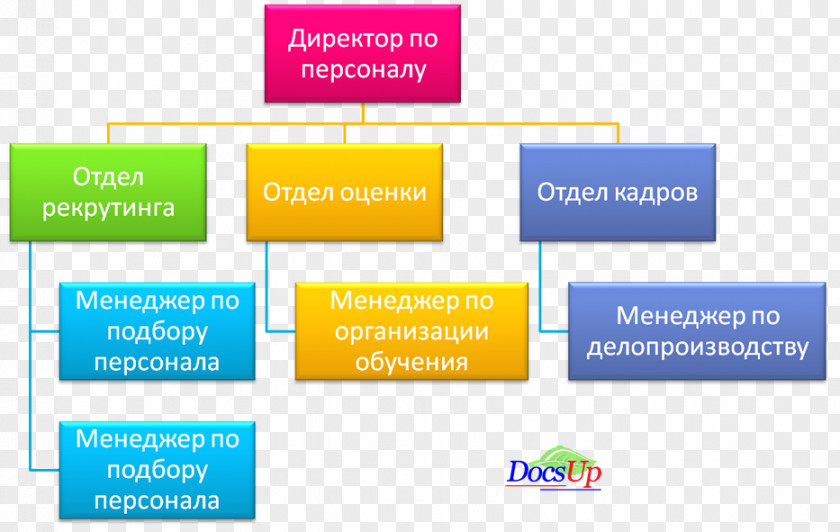 Business Solution Organization Human Resource Management Персонал Кадрове забезпечення PNG