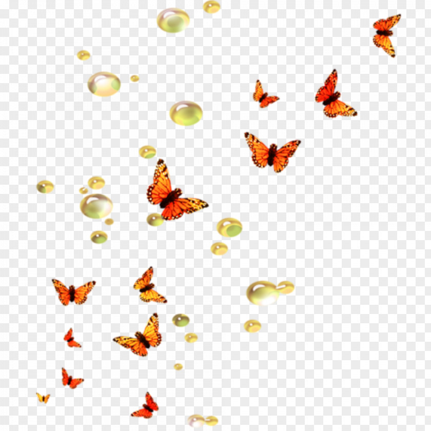 Cheetah Butterfly Clip Art PNG