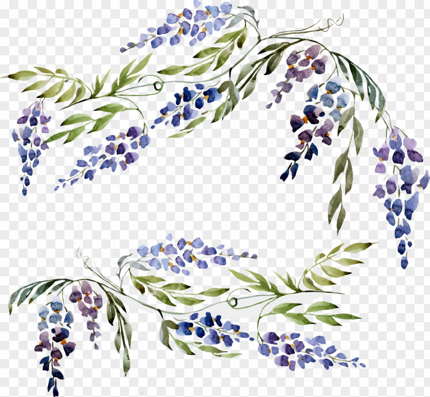 Purple Plant Flowers Wisteria Euclidean Vector PNG