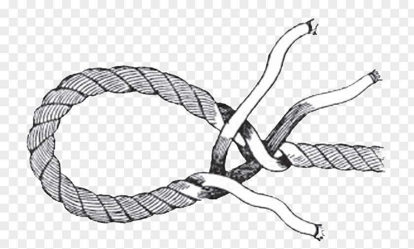 Rope Knot Splicing Drawing Eye Splice PNG
