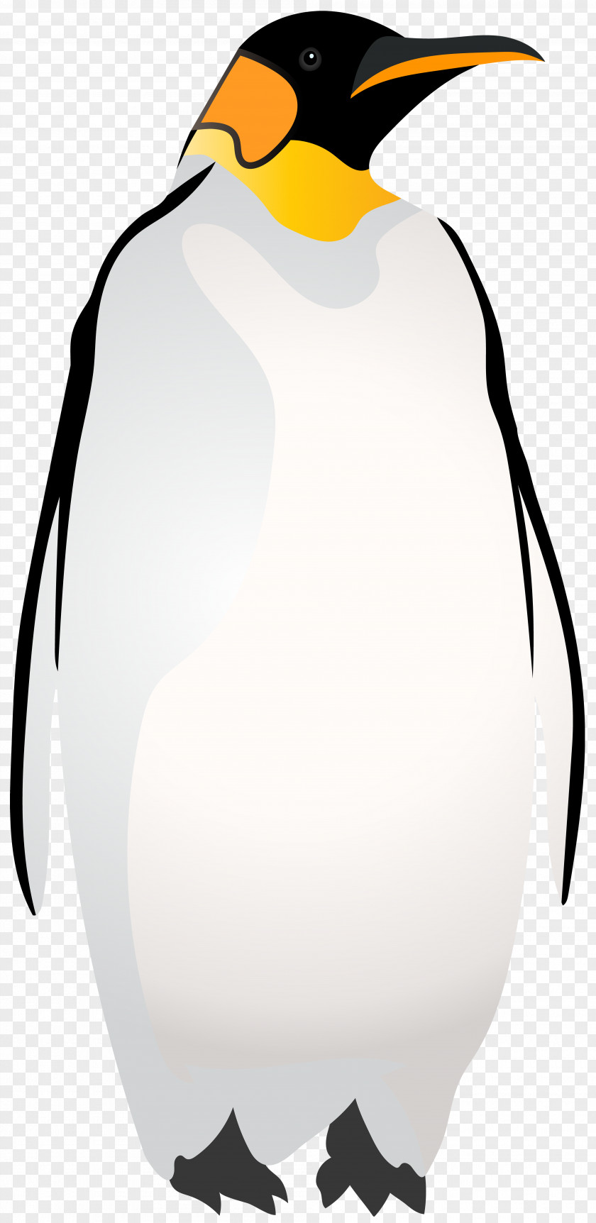 Emperor Penguin Clip Art King Black And White PNG