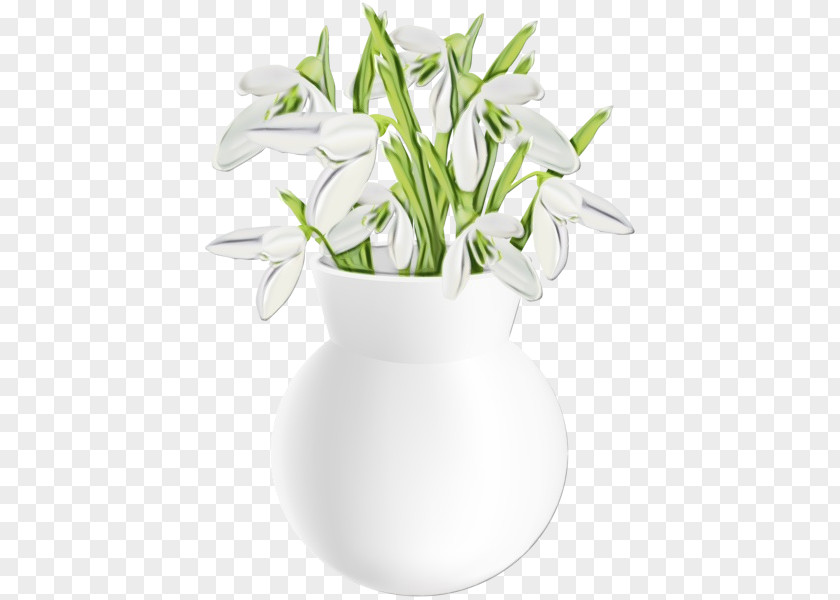 Flower White Flowerpot Plant Snowdrop PNG