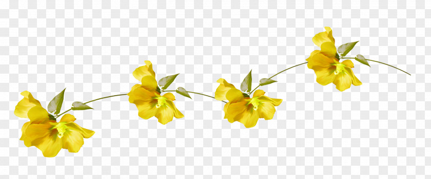 Garland Yellow Flower Green Color PNG