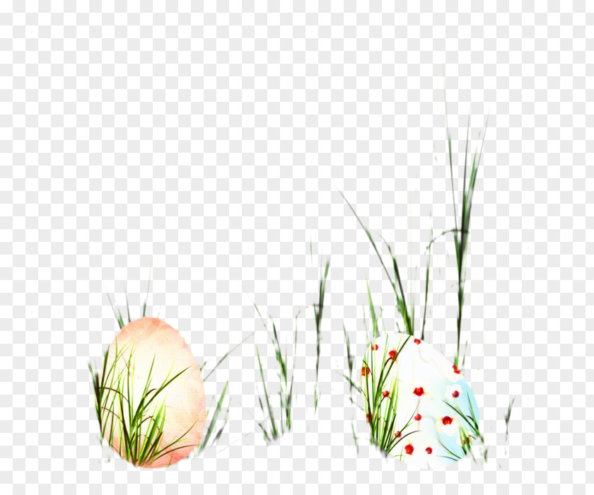 Grasses Easter Egg Desktop Wallpaper Illustration PNG