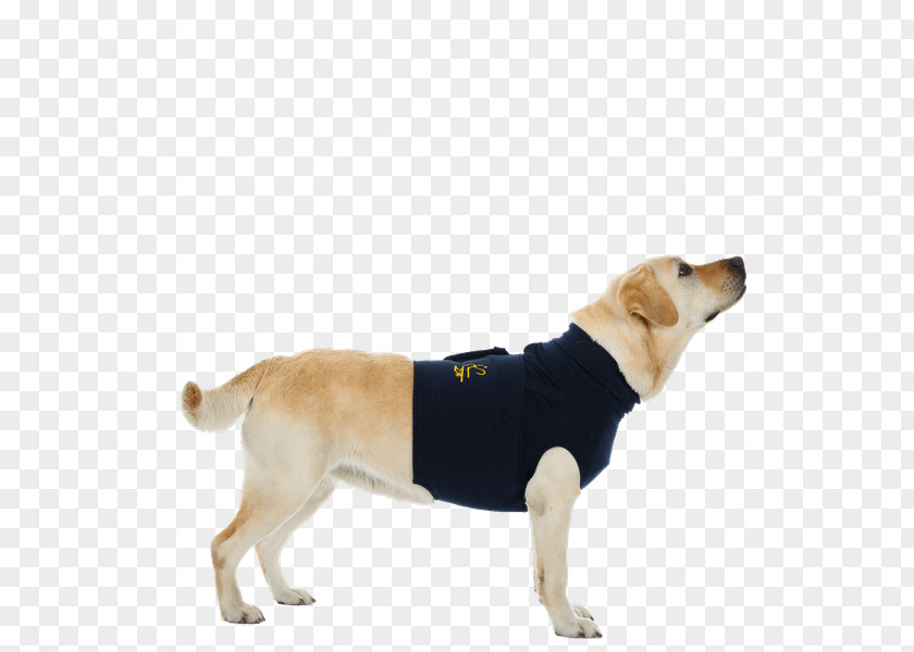L Medical Pet Shirt MPS-HLS Hind Leg SleevesLShirt Labrador Retriever Dog Breed MPS-TOP PNG