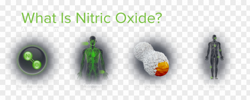 Nitric Oxide Acid Inflammation Novan PNG