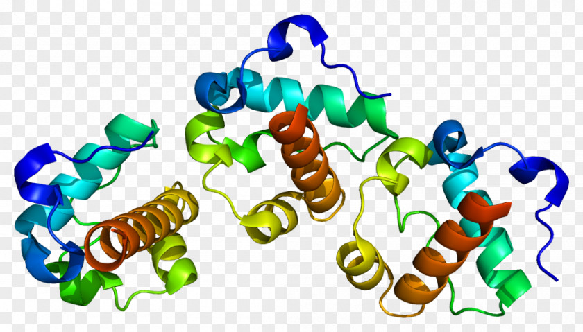 Transcription Factor ETV6 Fusion Gene PDGFRA PNG