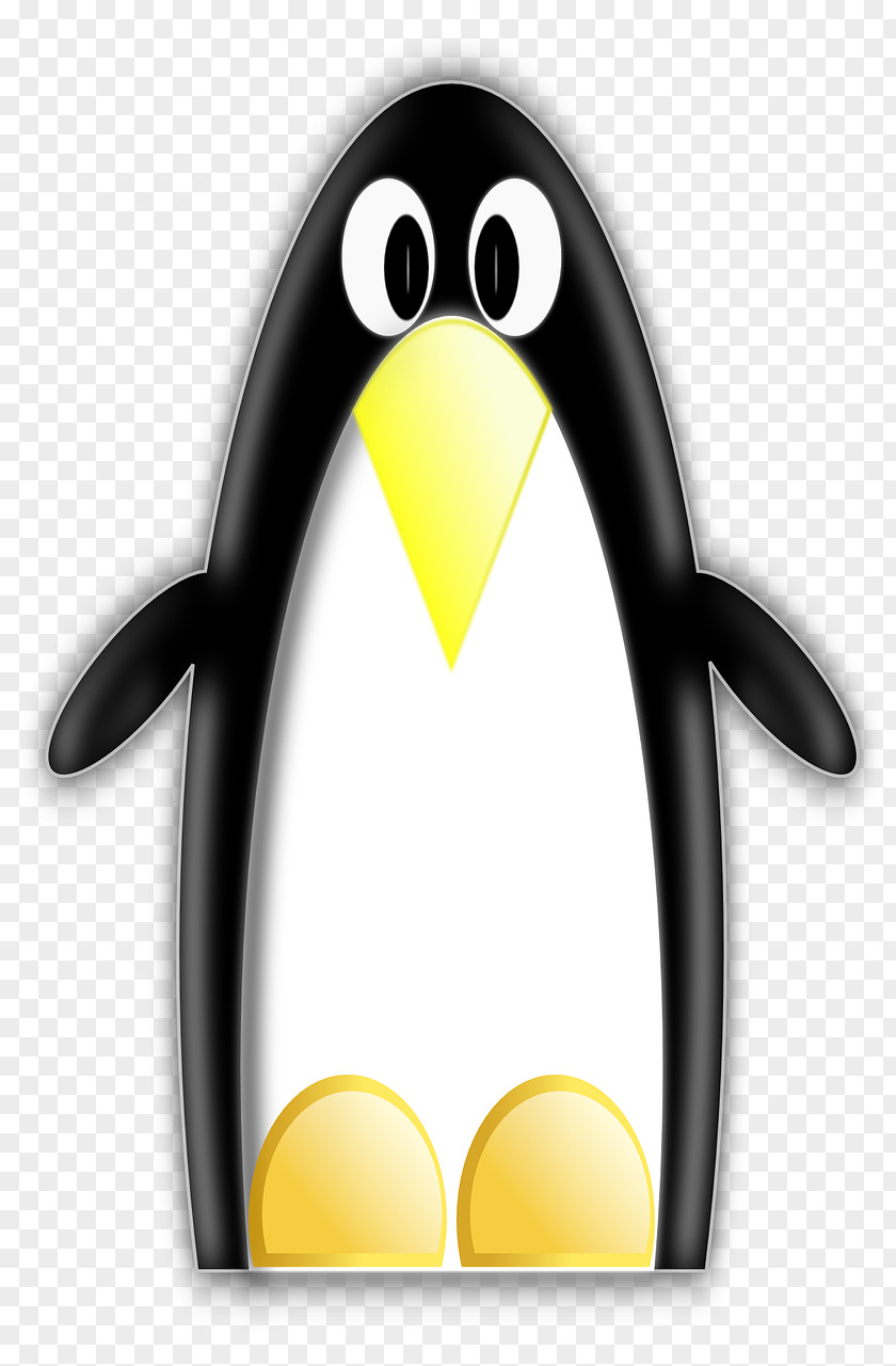 Linux Penguin Tux Unix Shell PNG