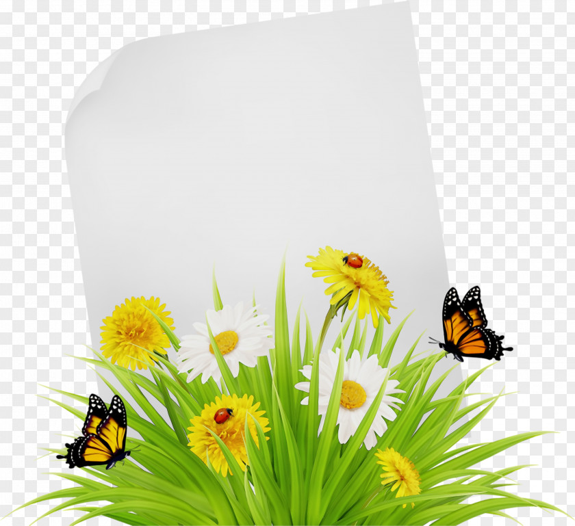 Membranewinged Insect Invertebrate Summer Flower Background PNG