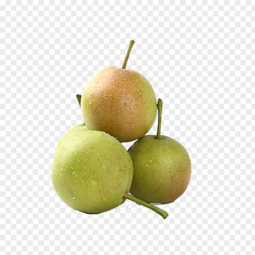 Piled Pears Heap Icon PNG