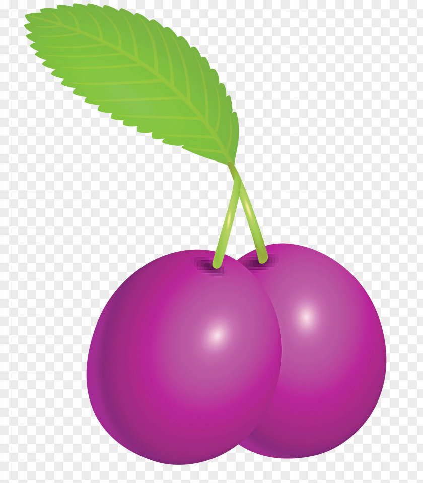 Prune Fruit PNG
