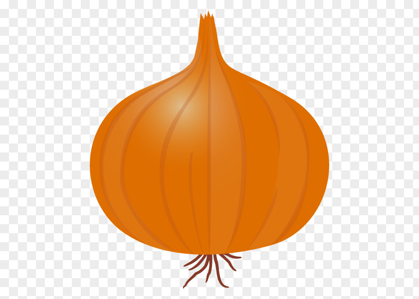 Pumpkin Calabaza Winter Squash Leaf PNG