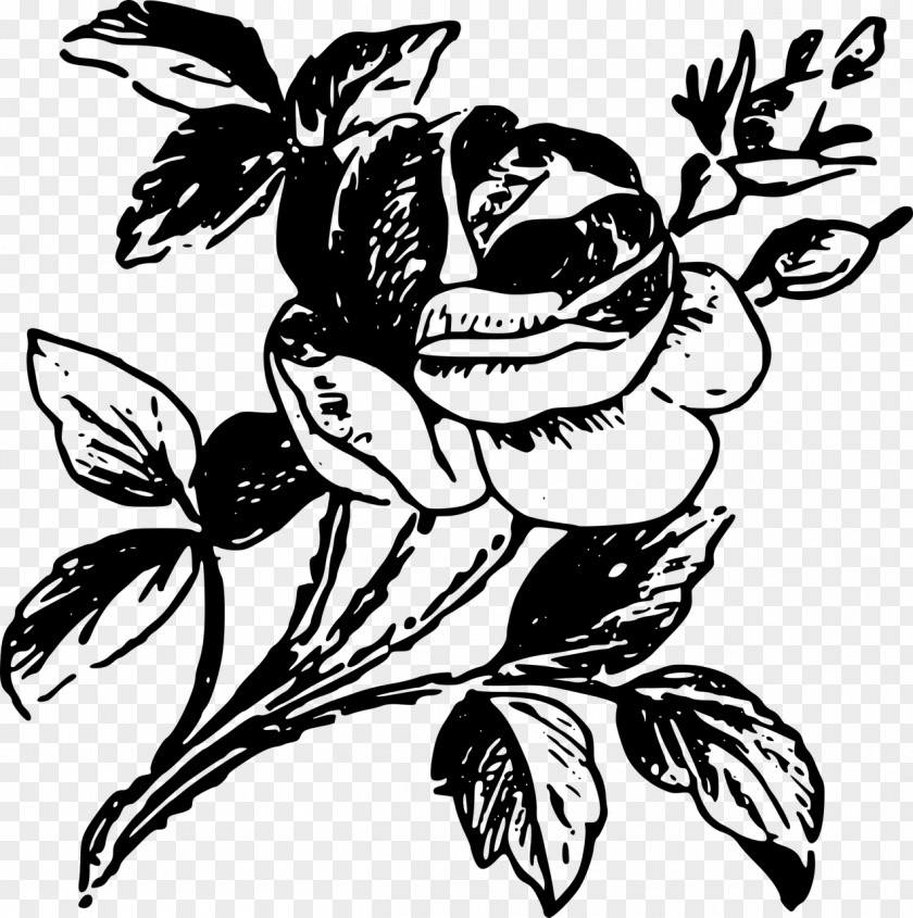 Rose Tattoo Drawing Clip Art PNG
