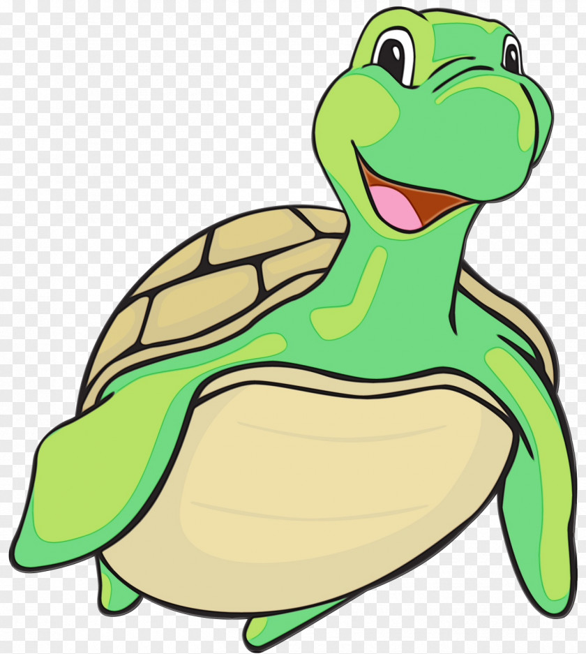 Turtle Clip Art Vector Graphics Tortoise PNG