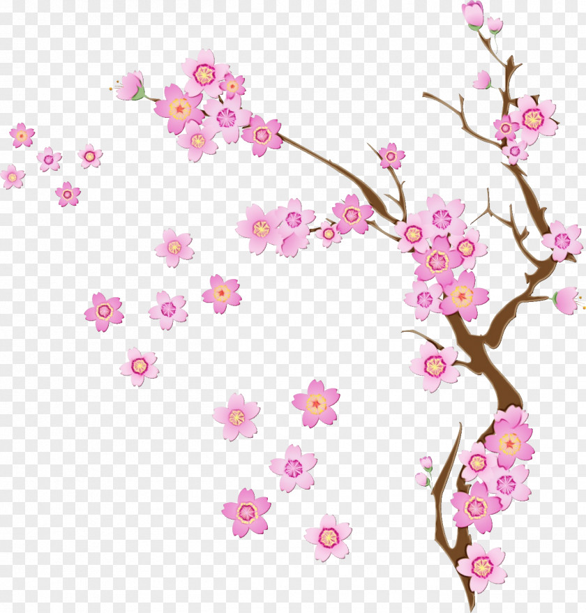 Twig Pedicel Cherry Blossom Flower PNG