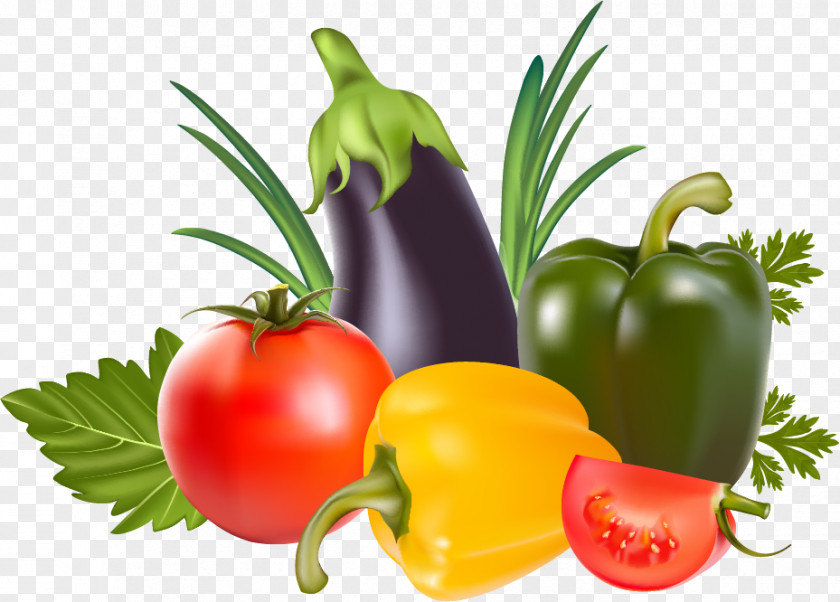 Vegetable Fruit Tomato Clip Art PNG