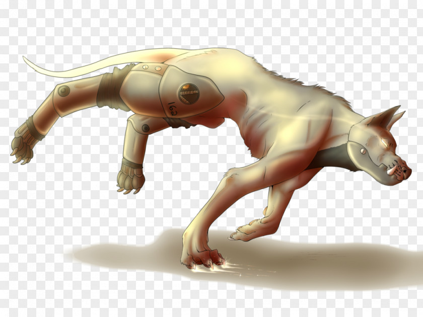 Animal Action Shots Reptile Cat Fauna Claw Muscle PNG