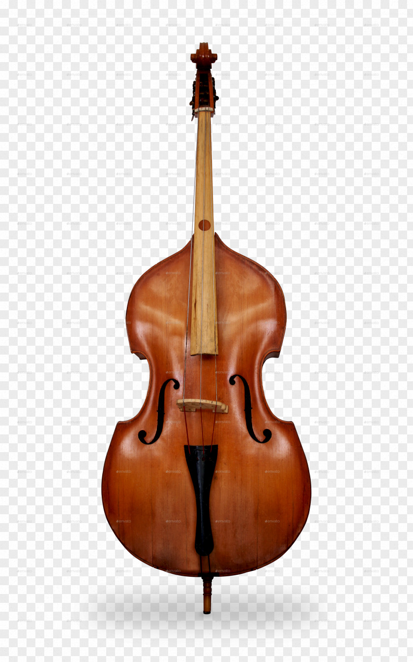 Bass Violin Double Violone Viola Guitar PNG