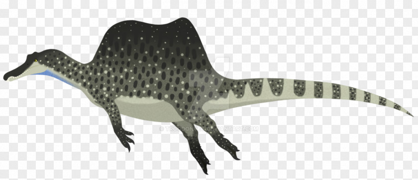Dinosaur Spinosaurus Velociraptor Carcharodontosaurus Deltadromeus PNG
