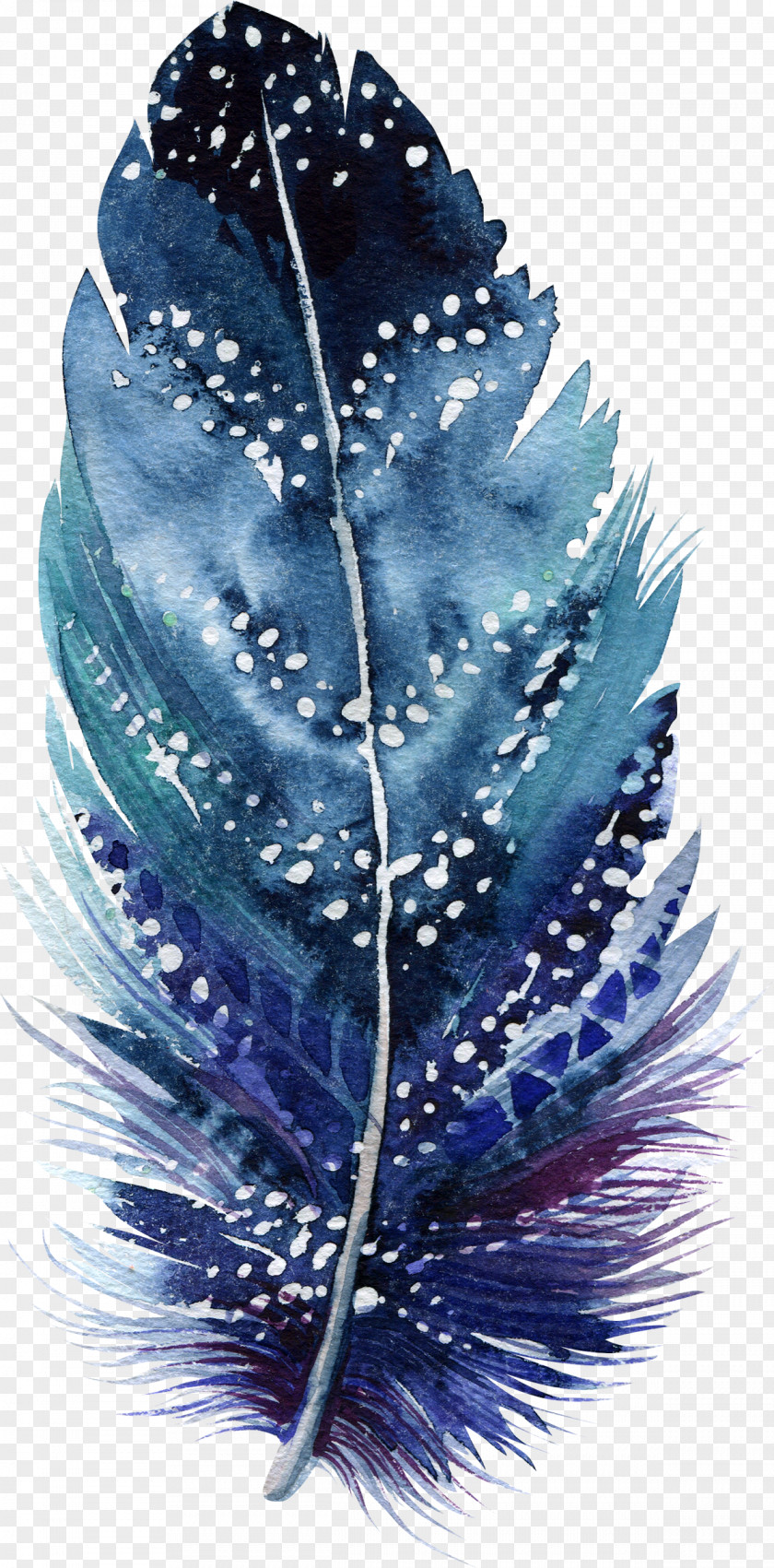 Feather Watercolor Painting Drawing Art Illustration PNG