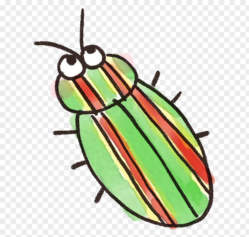 Insect Jewel Bugs Beetles Blister PNG