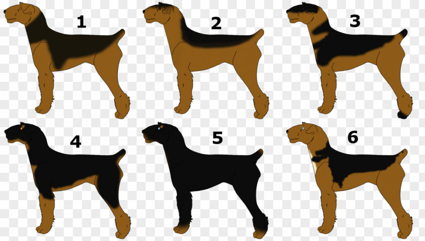 Airedale Terrier Dog Breed German Shepherd Puppy Rough Collie PNG